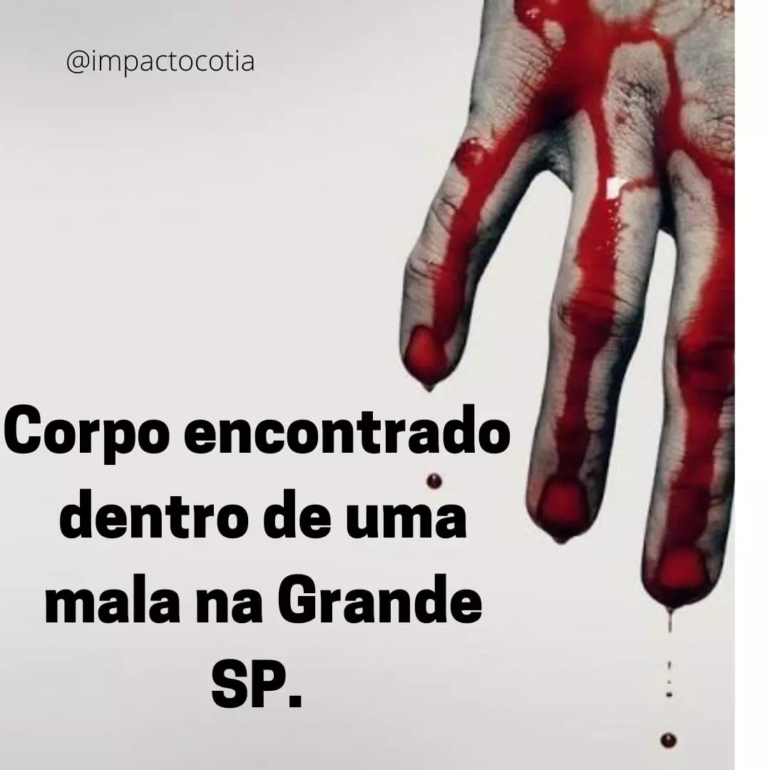 Corpo esquartejado é encontrado em mala na Grande SP.